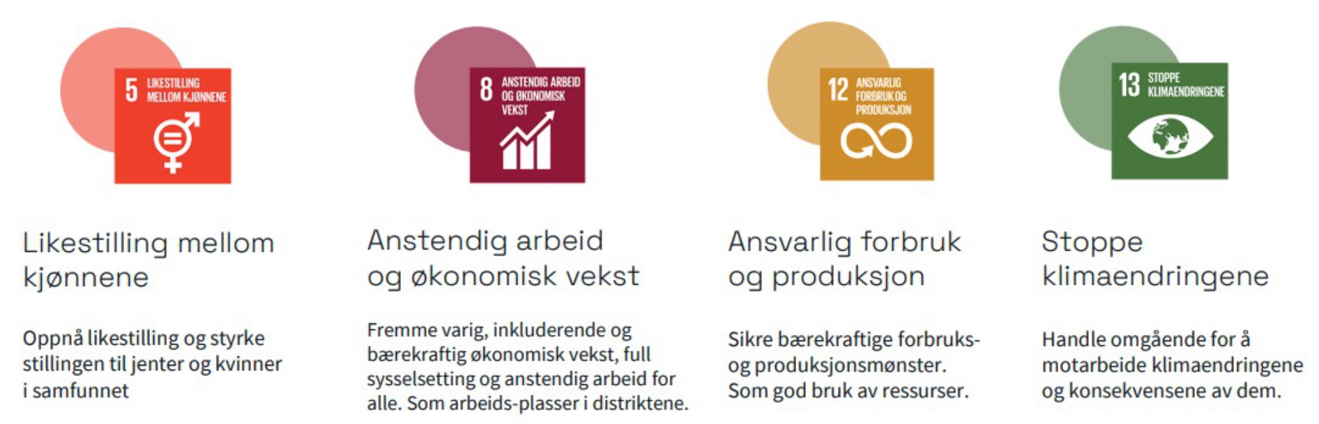 bærekraft illustrert gjennom FNs mål for likestilling, økonomisk vekst, ansvarlig forbruk og klima